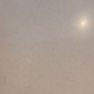 Meet your Posher, Bessie